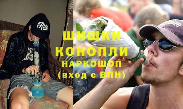 сатива Богородск