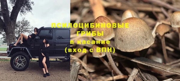 гидропоника Белоозёрский